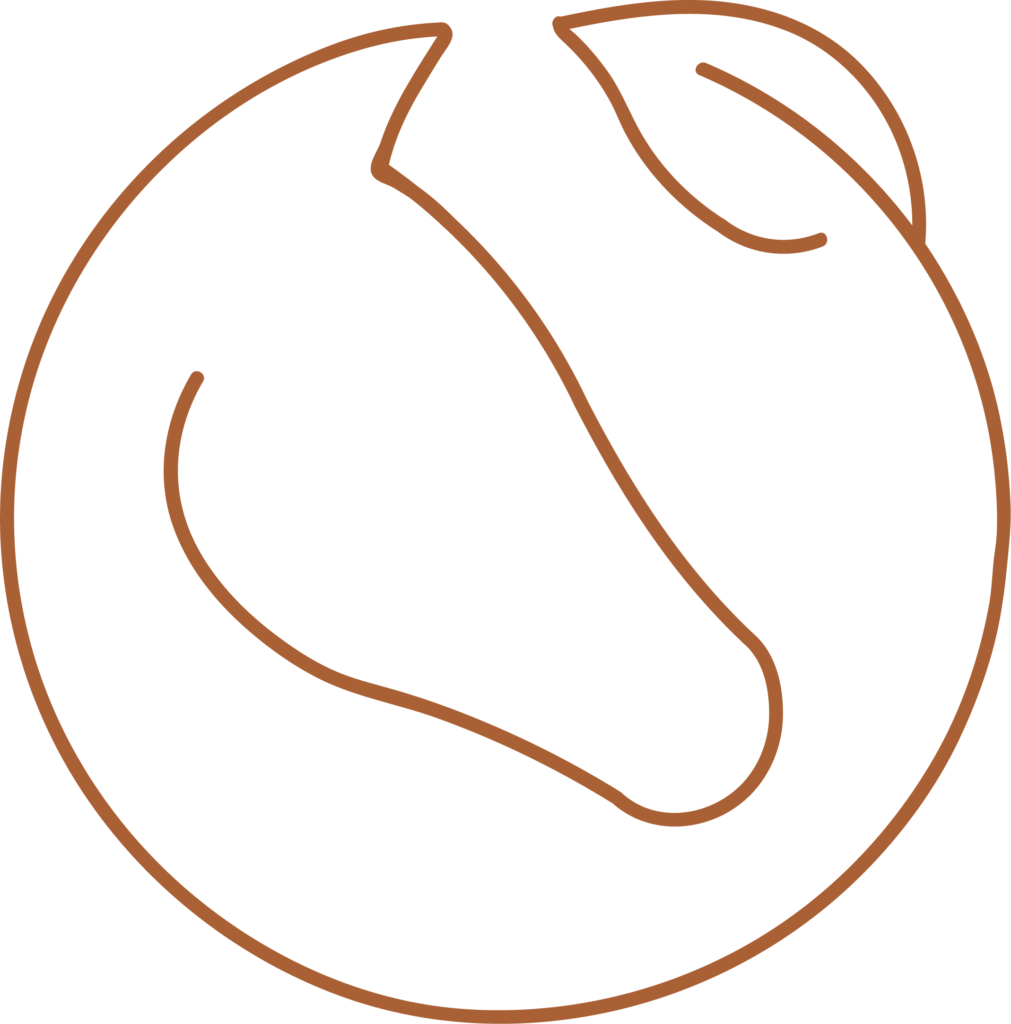 Logo Pferdekopf